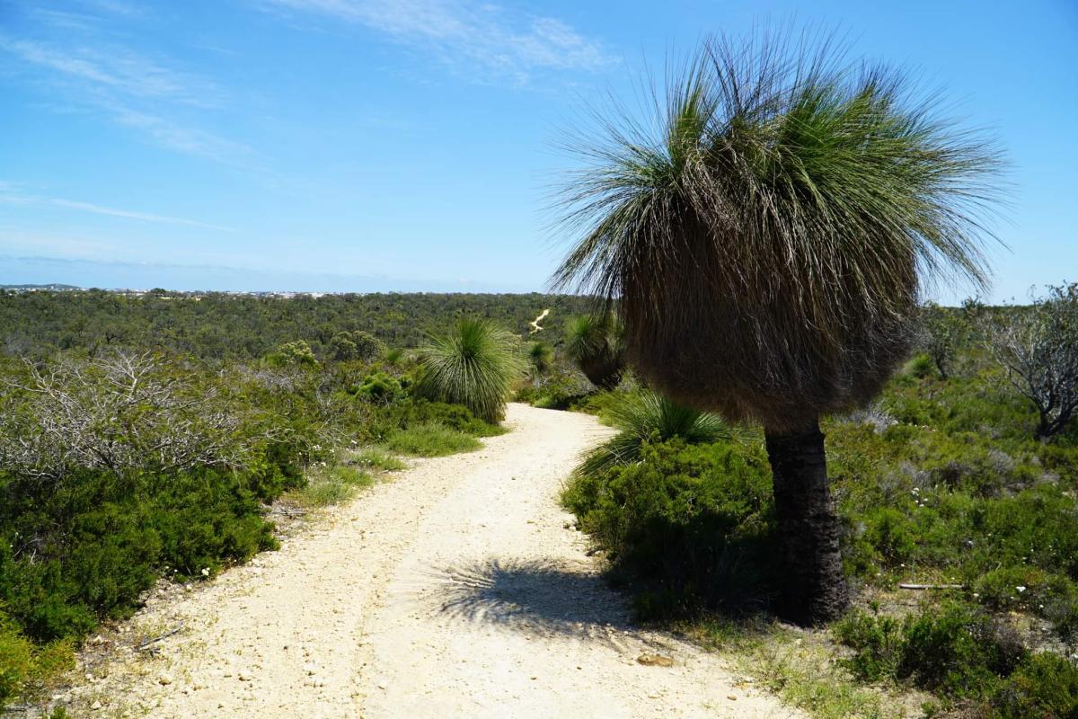 Across Wanneroo Road from the Neerabup National Park
